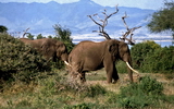 Lake Manyara