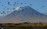 Lake Natron