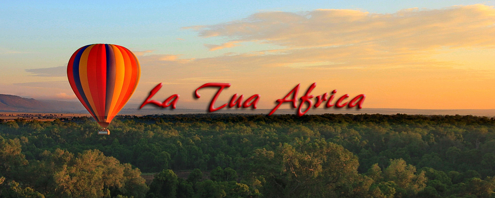 La Tua Africa - Safari in Kenya